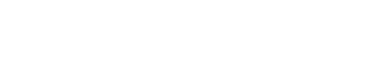 株式会社 Virdow